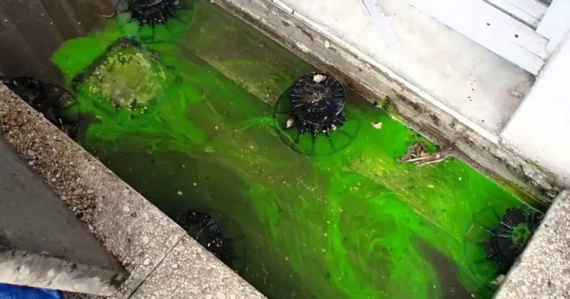 rechercher fuite de toit