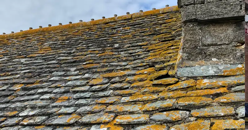 toiture ancienne endommagée